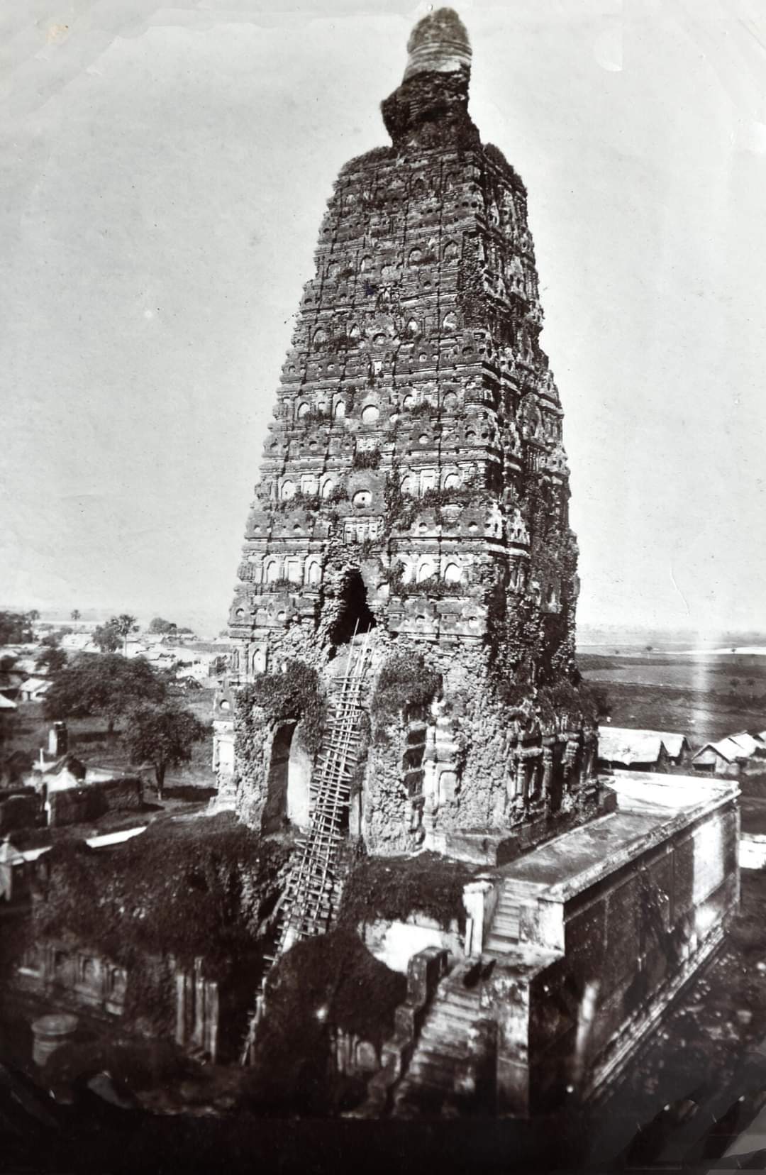 The Mahābodhi tower before restoration, drowned in creeper, a village at its foot